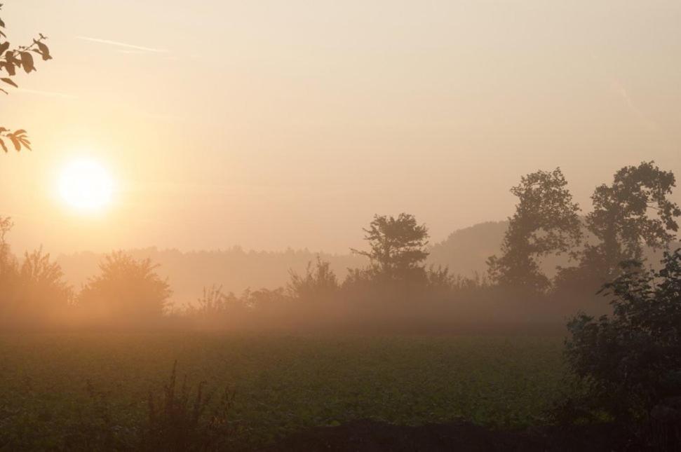 Heibloem Hoeve Delshorst المظهر الخارجي الصورة